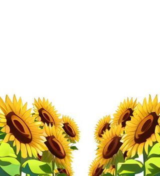 向日葵花花丛免抠