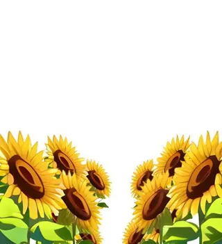 向日葵花花丛免抠