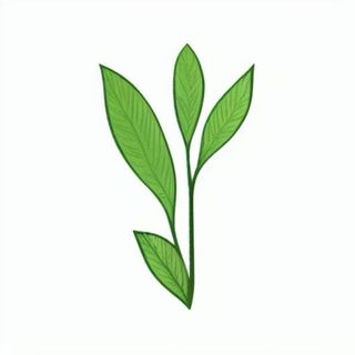 一小枝树叶png免抠