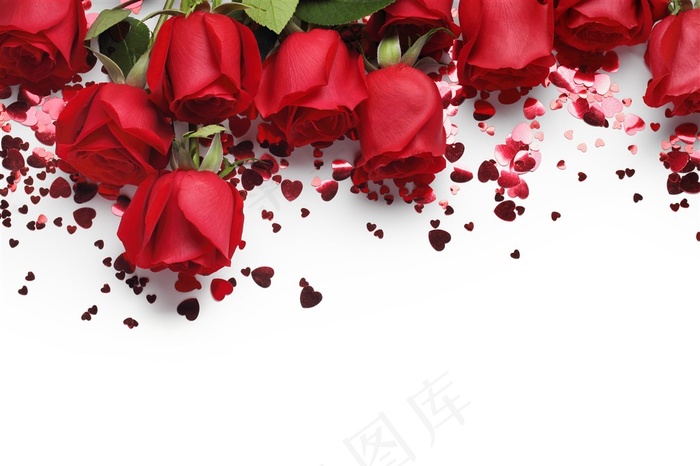 红色玫瑰鲜花图片