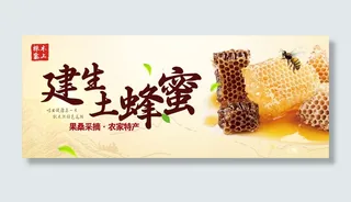 养生土蜂蜜海报