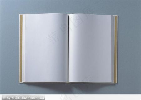 打开的书本