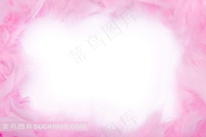 粉红色羽毛背景高清图片