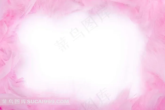 粉红色羽毛背景高清图片