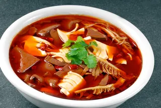 XCXC1878黄喉冒血旺