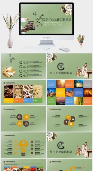 中药中医治病PPT模板ppt模版预览图