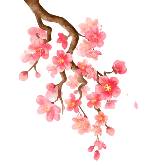 免抠粉色花朵花枝素材