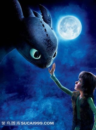 驯龙的男孩驯龙高手电影海报