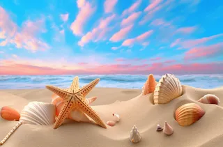 沙滩上的海星和贝壳充满活力的舞台背景