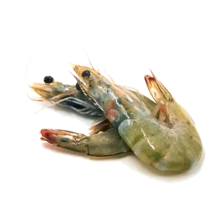 虾类(18)海鲜超市商品红酒白底图免抠实物摄影png格式图片透明底