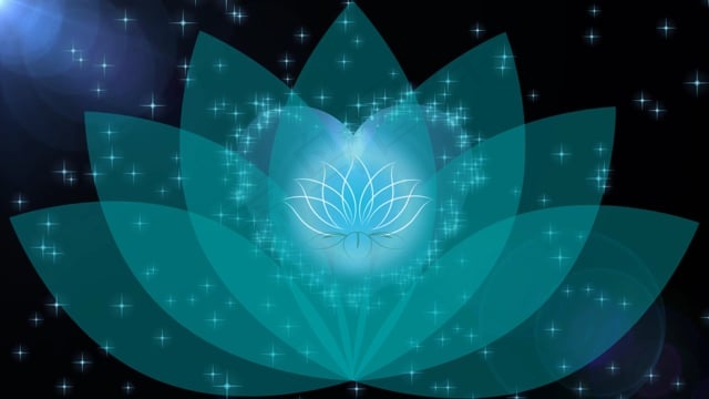 佛教, 莲花, 花, 爱, 精神