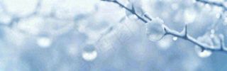 冬天冰枝冰冷枝叶雪球，小雪大雪冬至