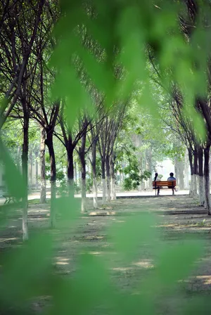 原创风景摄影