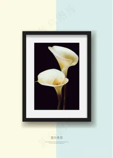 马蒂莲黑白艺术挂画矢量