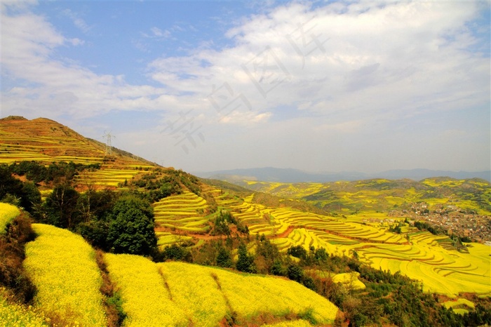 山村的田野梯田风景图