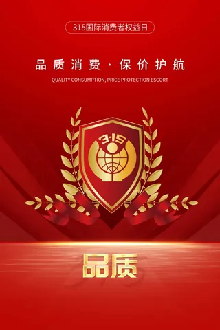 315 315海报模板