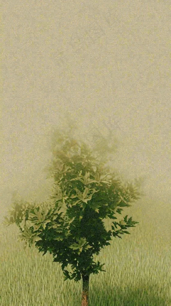 简约绿色叶子影子纹理(816x1456)