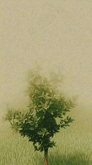 简约绿色叶子影子纹理