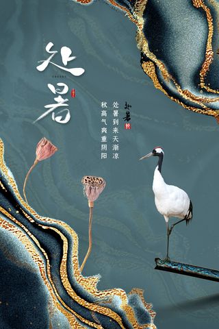 创意时尚传统节日处暑海报