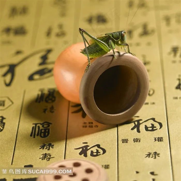 装蛐蛐的罐子精美素材