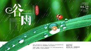 谷雨二十四节气海报设计