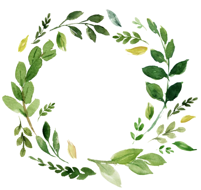 绿植物花环
