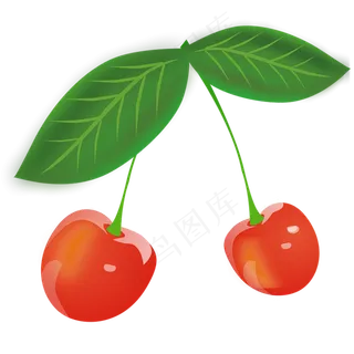 樱桃免抠素材 (21)