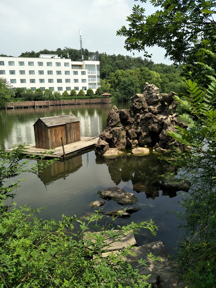 黑天鹅的小屋子