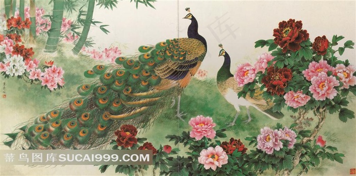 孔雀牡丹花风景图片