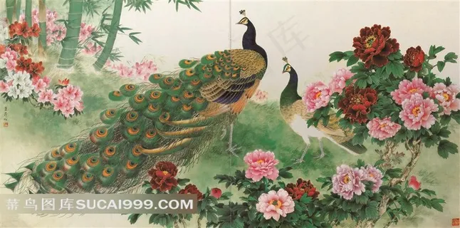 孔雀牡丹花风景图片 孔雀牡丹花风景图片