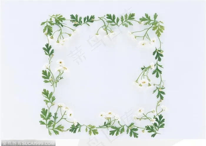 相框边框-漂亮小花组成的小花