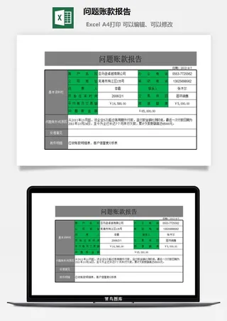 问题账款报告excel模板