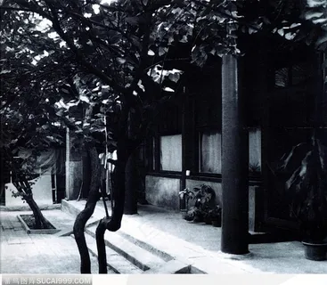 北京印象-经典的四合院景物