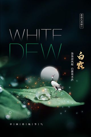 创意中国风白露传统节气海报