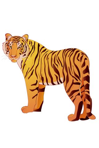 手绘国潮虎年卡通白虎老虎形象插画装饰元素AI设计素材png免抠图