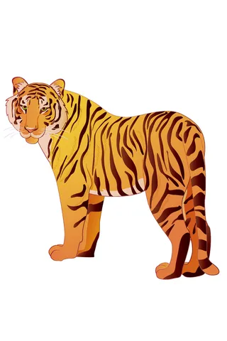 手绘国潮虎年卡通白虎老虎形象插画装饰元素AI设计素材png免抠图