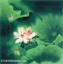 工笔荷花图片