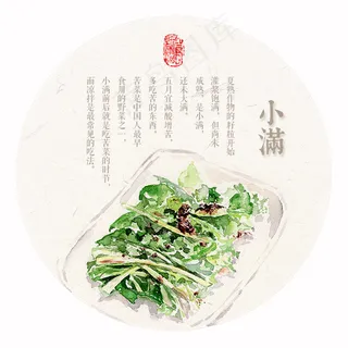 小满节气免抠图片  小满节气免抠图片