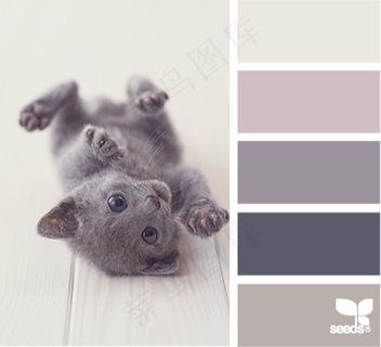动物配色色卡色彩搭配