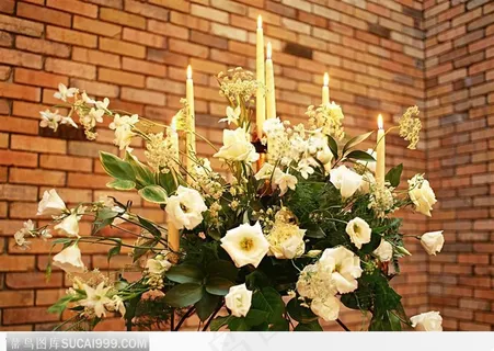 墙边的花景（燃烛）