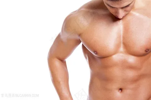 强壮的健身美男高清图片 强壮的健身美男高清图片