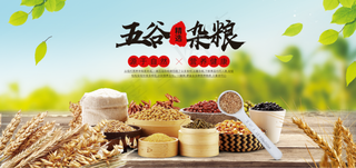 五谷杂粮海报