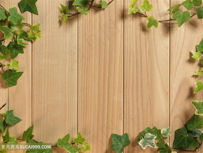 木板藤蔓清新背景设计素材