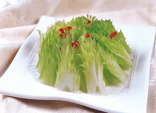 1009LC-0150凤尾西芹