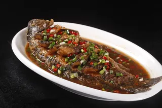 红烧黄河鲤鱼 (2)