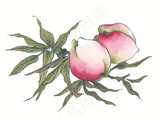 瓜果蔬菜鱼虾蟹系列图片素材