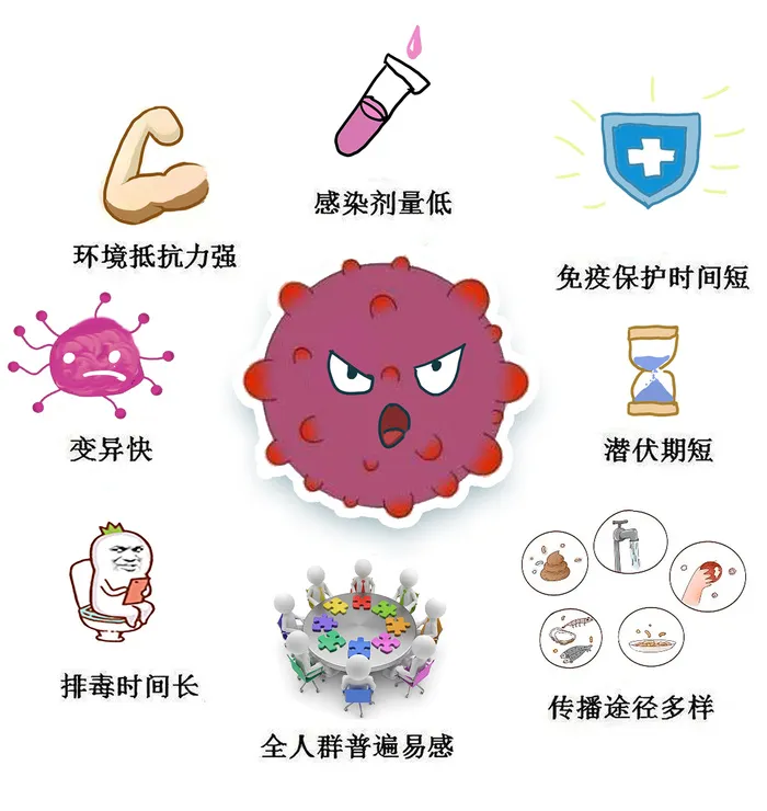 诺如病毒的特点psd模版下载