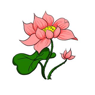 国潮中国风手绘荷花莲花荷叶莲藕植物花卉装饰插画PSD设计素材