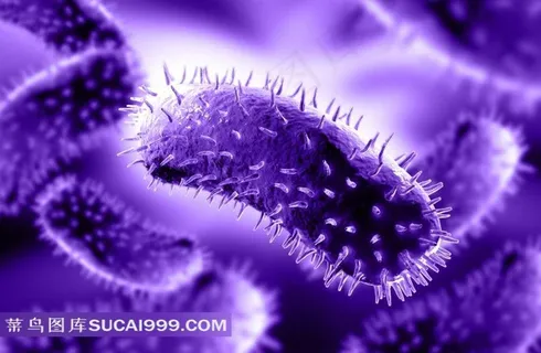 微生物病毒图片 微生物病毒图片