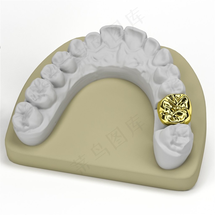 牙齿塑料模型设计高清图片